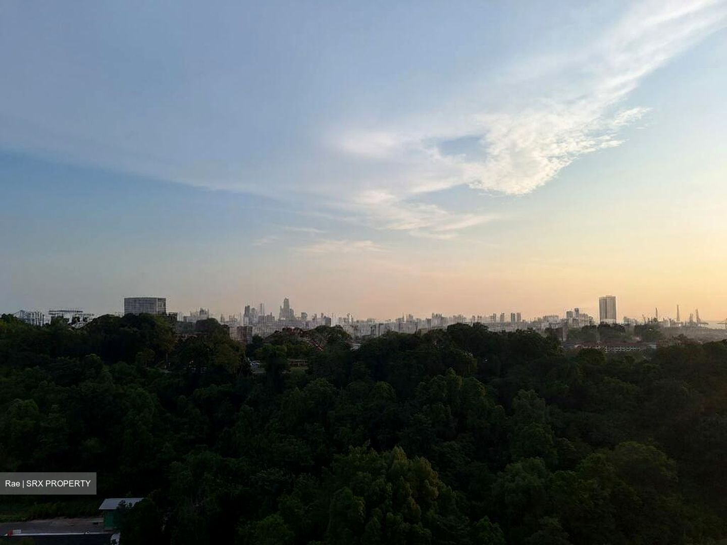 Normanton Park (D5), Apartment #594685471